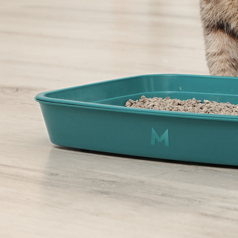 Diseño de gráfica de producto