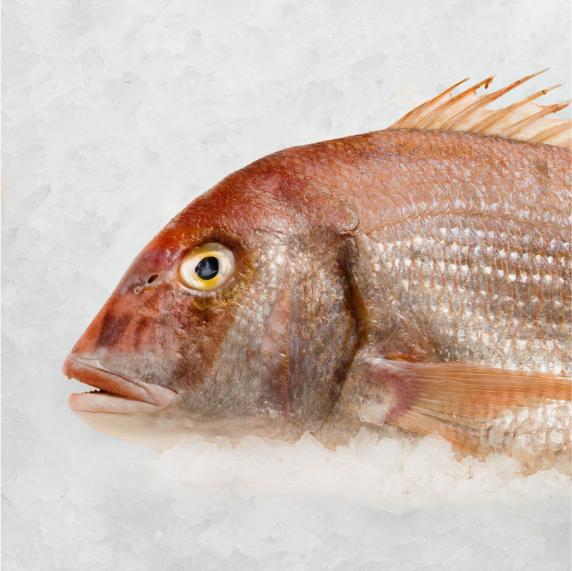 fotografía gastronómica